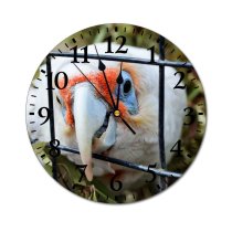 yanfind Fashion PVC Wall Clock Beak Outdoors Wild Fly Tropical Wildlife Wing Feather Rainforest Macaw Avian Mute Suitable Kitchen Bedroom Decorate Living Room