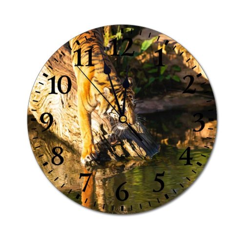 yanfind Fashion PVC Wall Clock Big River Reflection Cat Wild Hunter Teeth Jungle Safari Wildlife Mute Suitable Kitchen Bedroom Decorate Living Room