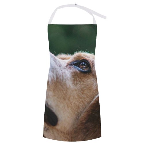 yanfind Custom aprons Adorable Beautiful Cute Defocused Dog Funny Fur Natural Nose Outdoors Park white white-style1 70×80cm