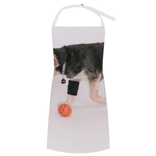 yanfind Custom aprons Active Ball Calm Curious Dog Fluff Friend Friendly Fun Funny white white-style1 70×80cm