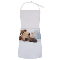 yanfind Custom aprons Adorable Portrait Bed Canidae Cute Dog Gaze Human's Friend Lazy white white-style1 70×80cm