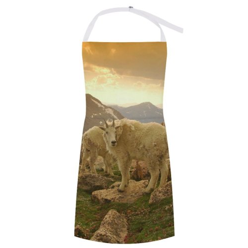 yanfind Custom aprons Mountevans Rockymountains Sky Sunset Goat Valley Mountaingoat Rock Wilderness Outdoors white white-style1 70×80cm