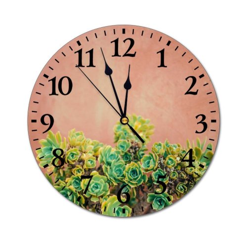 yanfind Fashion PVC Wall Clock Beauty Botany Colorful Space Cultivation Daylight Ecology From Above Greenery Grow Mute Suitable Kitchen Bedroom Decorate Living Room