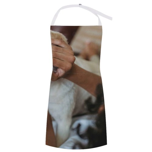 yanfind Custom aprons Adorable Affection Anonymous Blurred Bonding Charming Chordate Comfort Couch Eyes white white-style1 70×80cm