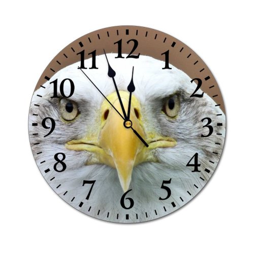 yanfind Fashion PVC Wall Clock Beak Bird Eagle Feathers Macro Wildlife Mute Suitable Kitchen Bedroom Decorate Living Room
