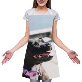 yanfind Custom aprons Adorable Alone Attention Blurred Calm Creature Cute Daytime Dog Expressive Friend white white-style1 70×80cm