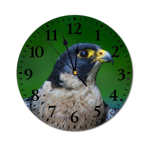 yanfind Fashion PVC Wall Clock Bird Beak Eagle Outdoors Wild Fly Wildlife Wing Feather Hawk Raptor Mute Suitable Kitchen Bedroom Decorate Living Room