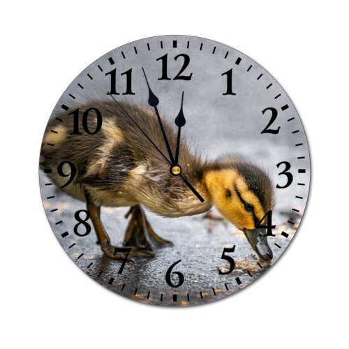 yanfind Fashion PVC Wall Clock Adorable Aqua Asphalt Avian Beak Bird Calm Cute Duckling Ecology Feather Feed Mute Suitable Kitchen Bedroom Decorate Living Room