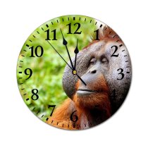 yanfind Fashion PVC Wall Clock Calm Face Hairy Jungle Monkey Orangutan Trees Wild Mute Suitable Kitchen Bedroom Decorate Living Room