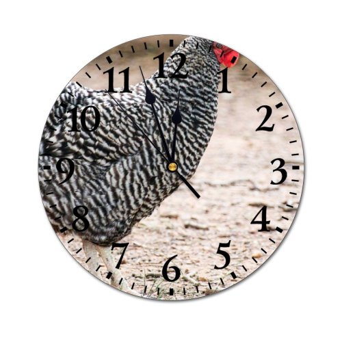 yanfind Fashion PVC Wall Clock Bird Farm Grass Beak Hen Outdoors Wild Rural Wildlife Feather Poultry Avian Mute Suitable Kitchen Bedroom Decorate Living Room
