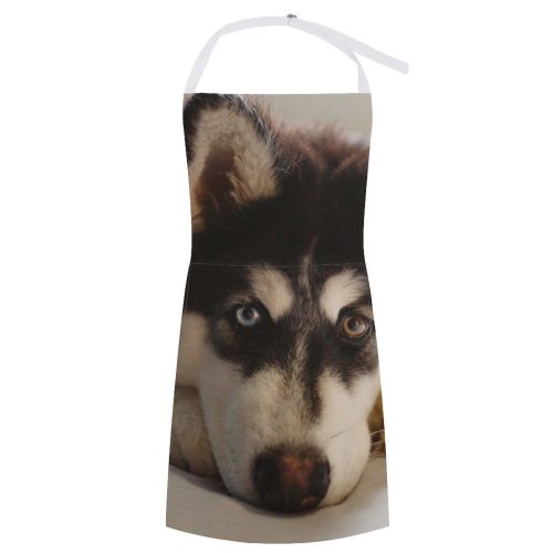 yanfind Custom aprons Adorable Portrait Canidae Cute Dog Face Fur Furry Heterochromia Pedigree Pet Snout white white-style1 70×80cm