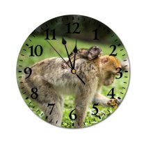 yanfind Fashion PVC Wall Clock Barbary Macaque Monkeys Wildlife Mute Suitable Kitchen Bedroom Decorate Living Room