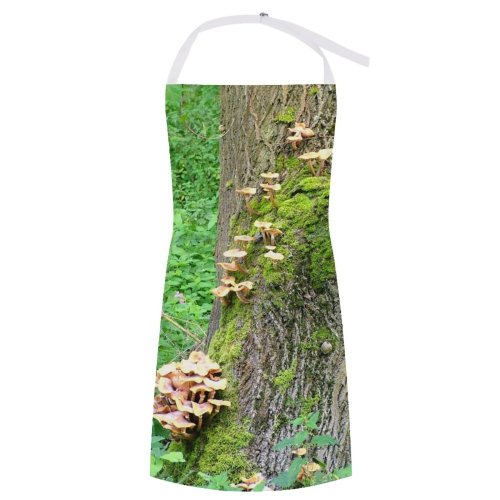 yanfind Custom aprons Mushrooms Trees Fungus Plants Forest Bspo06 white white-style1 70×80cm