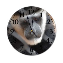 yanfind Fashion PVC Wall Clock Cage Eyes Face Focus Furry Grey Monkey Nose Outdoors Primate Mute Suitable Kitchen Bedroom Decorate Living Room