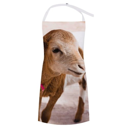 yanfind Custom aprons Adorable Alone Artiodactyla Blurred Bovidae Calm Capra Caprinae Cattle Charming Countryside white white-style1 70×80cm