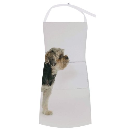 yanfind Custom aprons Adorable Attentive Balloon Calm Creature Curious Cute Decorate Dog Fauna Festive white white-style1 70×80cm