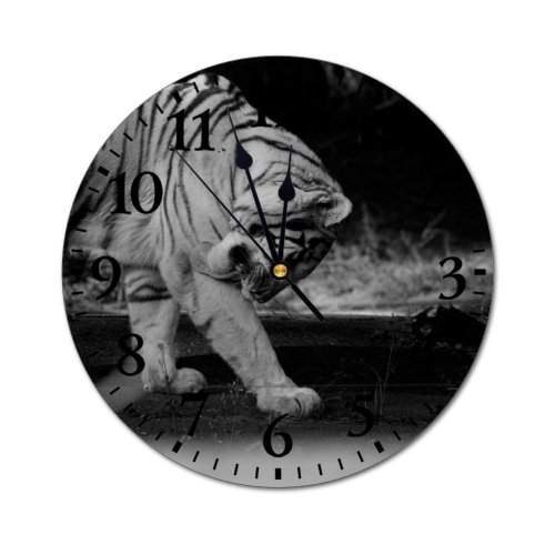 yanfind Fashion PVC Wall Clock Blurred Bw Carnivore Chordate Dangerous Dark Evening Fauna Felidae Fur Garden Mute Suitable Kitchen Bedroom Decorate Living Room