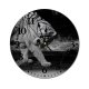 yanfind Fashion PVC Wall Clock Blurred Bw Carnivore Chordate Dangerous Dark Evening Fauna Felidae Fur Garden Mute Suitable Kitchen Bedroom Decorate Living Room