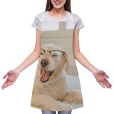 yanfind Custom aprons Adorable Portrait Home Bed Bedroom Reading Canidae Comfort Cozy Cute Dog white white-style1 70×80cm