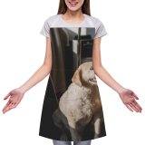 yanfind Custom aprons Adorable Alone Apartment Blurred Calm Carefree Chair Comfort Curious Daylight Dog white white-style1 70×80cm