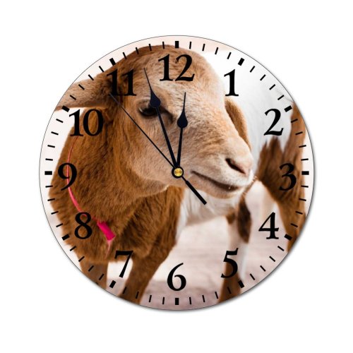 yanfind Fashion PVC Wall Clock Adorable Alone Artiodactyla Blurred Bovidae Calm Capra Caprinae Cattle Charming Countryside Mute Suitable Kitchen Bedroom Decorate Living Room