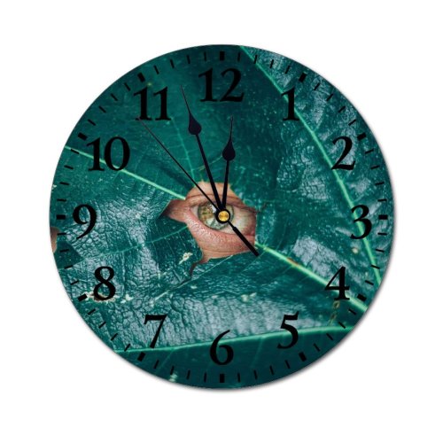 yanfind Fashion PVC Wall Clock Biology Botanic Botany Closeup Concept Detail Flora Floral Fragile Fragrant Mute Suitable Kitchen Bedroom Decorate Living Room