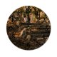 yanfind Fashion PVC Wall Clock Architecture Autumn Calm Countryside Deciduous Fall Flora Foliage Footpath Forest Mute Suitable Kitchen Bedroom Decorate Living Room