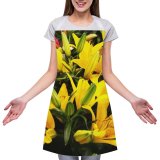 yanfind Custom aprons Flowers Agriculture Beautiful Beauty Bloom Bouquet Clear Countryside Daisy Farm white white-style1 70×80cm