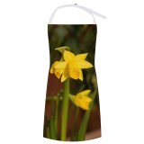 yanfind Custom aprons Flower Plant Daffodil Colour Garden Bloom Lily white white-style1 70×80cm