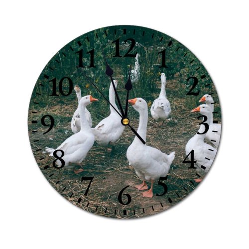 yanfind Fashion PVC Wall Clock Beak Bird Bush Calm Countryside Creature Eat Farm Farmyard Feather Flock Freedom Mute Suitable Kitchen Bedroom Decorate Living Room