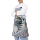 yanfind Custom aprons Aged Angel Architecture Art Bas Relief Blurred Carved Daylight Decor Decorative white white-style1 70×80cm