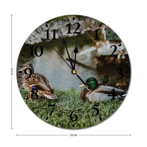 yanfind Fashion PVC Wall Clock Avian Beak Biology Bird Watching Blurred Calm Creature Daytime Drake Duck Ecosystem Mute Suitable Kitchen Bedroom Decorate Living Room