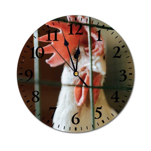 yanfind Fashion PVC Wall Clock Barn Bird Chicken Coop Cock Cockerel Farm Farming Fowl Hen Hencoop Henhouse004 Mute Suitable Kitchen Bedroom Decorate Living Room