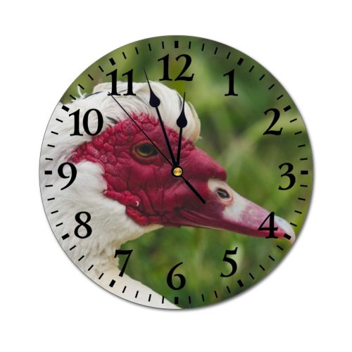 yanfind Fashion PVC Wall Clock Bird Summer Cute Farm Grass Beak Waterfowl Outdoors Wild Duck Goose Wildlife Mute Suitable Kitchen Bedroom Decorate Living Room
