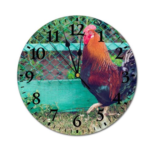 yanfind Fashion PVC Wall Clock Bird Farm Grass Beak Fence Hen Outdoors Beautiful Feather Poultry Avian Crest Mute Suitable Kitchen Bedroom Decorate Living Room