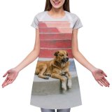 yanfind Custom aprons Adorable Alone Blurred Calm Colorful Creature Curious Cute Dog Enjoy Exterior white white-style1 70×80cm