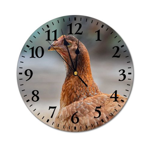 yanfind Fashion PVC Wall Clock Bird Farm Beak Portrait Hen Outdoors Wild Duck Wildlife Feather Mute Suitable Kitchen Bedroom Decorate Living Room