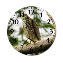 yanfind Fashion PVC Wall Clock Beak Besra Sparrowhawk Bird Botanic Botany Branch Calm Colorful Countryside Daylight Mute Suitable Kitchen Bedroom Decorate Living Room