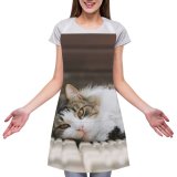 yanfind Custom aprons Adorable Attentive Blurred Calm Carnivore Cat Charming Comfort Concentrate Cute Enjoy white white-style1 70×80cm