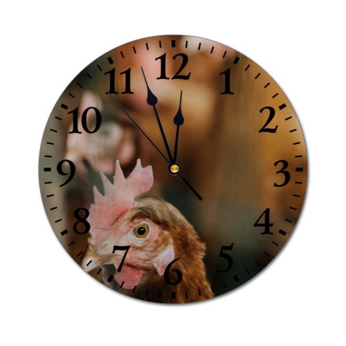 yanfind Fashion PVC Wall Clock Barn Bird Chicken Coop Cock Cockerel Farm Farming Fowl Hen Hencoop Henhouse011 Mute Suitable Kitchen Bedroom Decorate Living Room