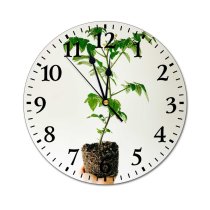 yanfind Fashion PVC Wall Clock Anonymous Botanic Botany Care Crop Cultivate Decoration Delicate Demonstrate Design Faceless Flora Mute Suitable Kitchen Bedroom Decorate Living Room