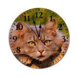 yanfind Fashion PVC Wall Clock Cat Face Cute Felidae Fur Kitty Pet Staring Whiskers Mute Suitable Kitchen Bedroom Decorate Living Room