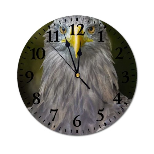 yanfind Fashion PVC Wall Clock Bird Bald Eagle Beak Wild Wildlife Feather Hawk Raptor Avian Mute Suitable Kitchen Bedroom Decorate Living Room