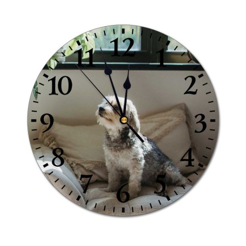 yanfind Fashion PVC Wall Clock Adorable Alone Apartment Attentive Blurred Calm Comfort Couch Cozy Creature Curious Mute Suitable Kitchen Bedroom Decorate Living Room