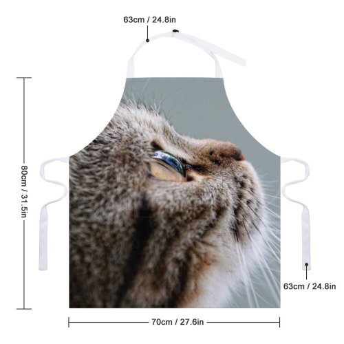 yanfind Custom aprons Adorable Baby British Shorthair Cat Face Curiosity Cute Downy Focus Fur white white-style1 70×80cm