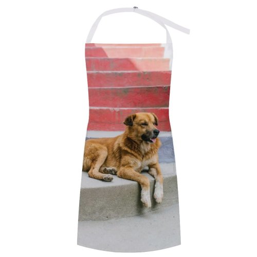 yanfind Custom aprons Adorable Alone Blurred Calm Colorful Creature Curious Cute Dog Enjoy Exterior white white-style1 70×80cm
