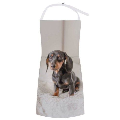 yanfind Custom aprons Adorable Apartment Bed Bedroom Blanket Blurred Calm Comfort Cozy Creature Curious white white-style1 70×80cm
