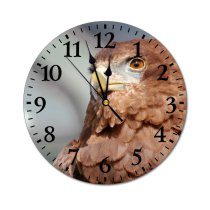 yanfind Fashion PVC Wall Clock Bird Eagle Plumage Mute Suitable Kitchen Bedroom Decorate Living Room