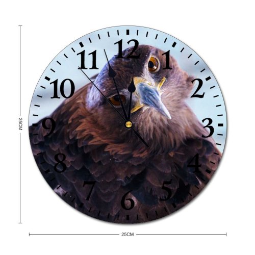 yanfind Fashion PVC Wall Clock Bird Beak Eagle Portrait Outdoors Wild Wildlife Feather Hawk Raptor Avian Mute Suitable Kitchen Bedroom Decorate Living Room