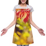 yanfind Custom aprons October Tree Leaves Fall Morning Park Trail November Bushes Autumn white-style1 70×80cm